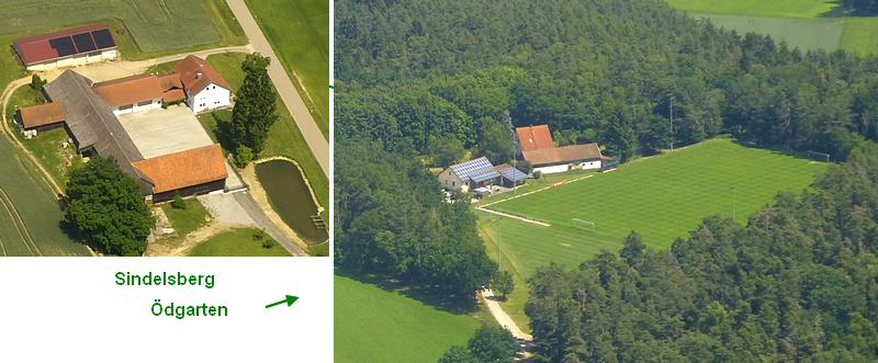 dgarten 2025